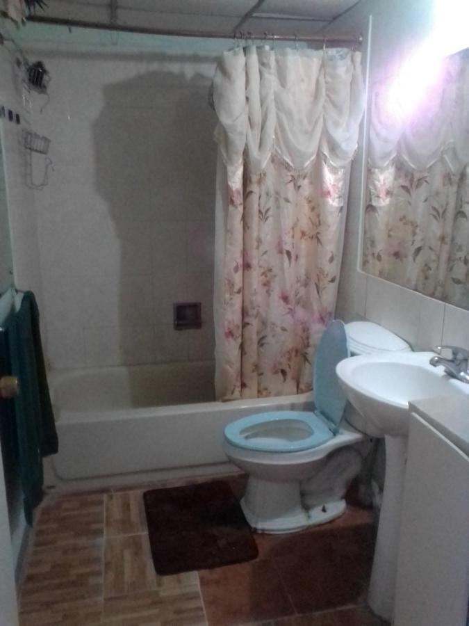 Nice Oakwood Constant Spring Rd Apt Appartement Kingston Buitenkant foto